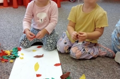 IMG20241002095705 